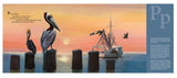 P is for Pelican- Alphabet Book