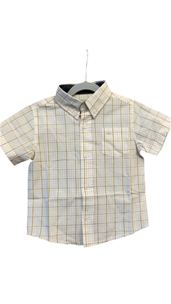 Chamomile/Fog/Mint Dress Shirt