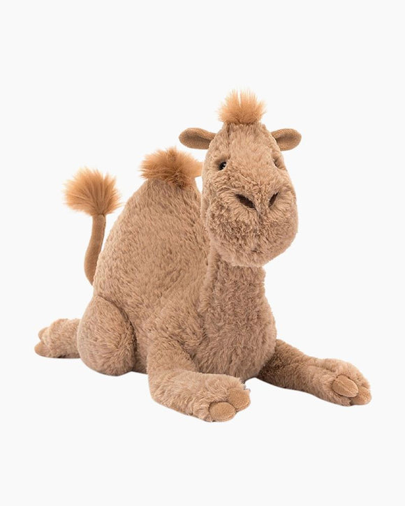 Richie Dromedary Camel