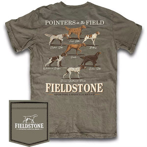Pointers in the Field