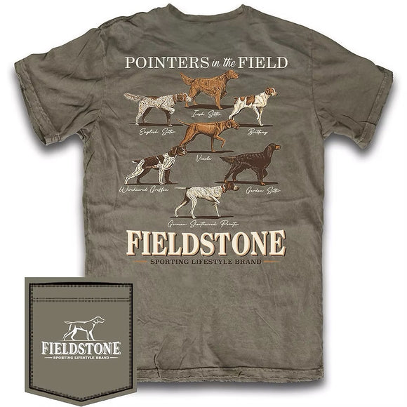 Pointers in the Field