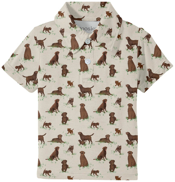 Labradors Polo
