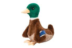 Desie Mallard Duck