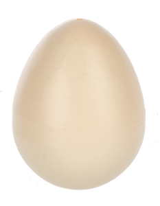 Hatching Turtle Growers