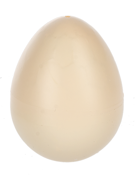 Hatching Turtle Growers