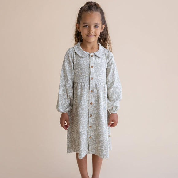 Wildsage Collared Dress