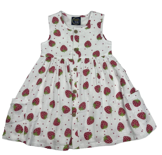 Strawberries Addison Dress