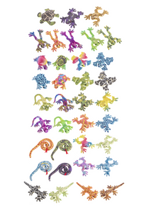 Rainforest Animals