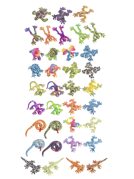 Rainforest Animals