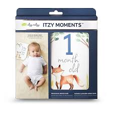 Woodland Itzy Moments™ Double-Sided Milestone Cards